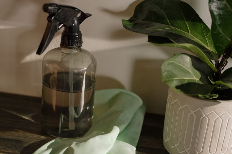 Sprei Untuk menghilangkan bau karpet